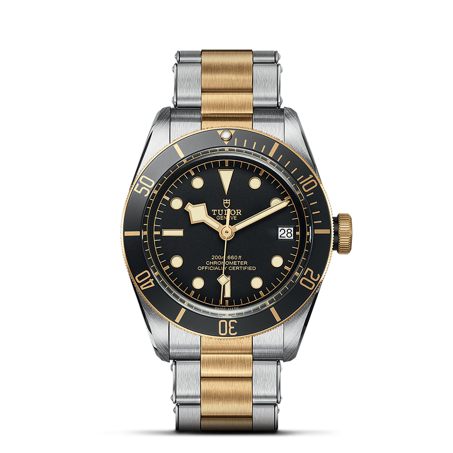 TUDOR Black Bay S&G - M79733N-0008 Automatic Watch